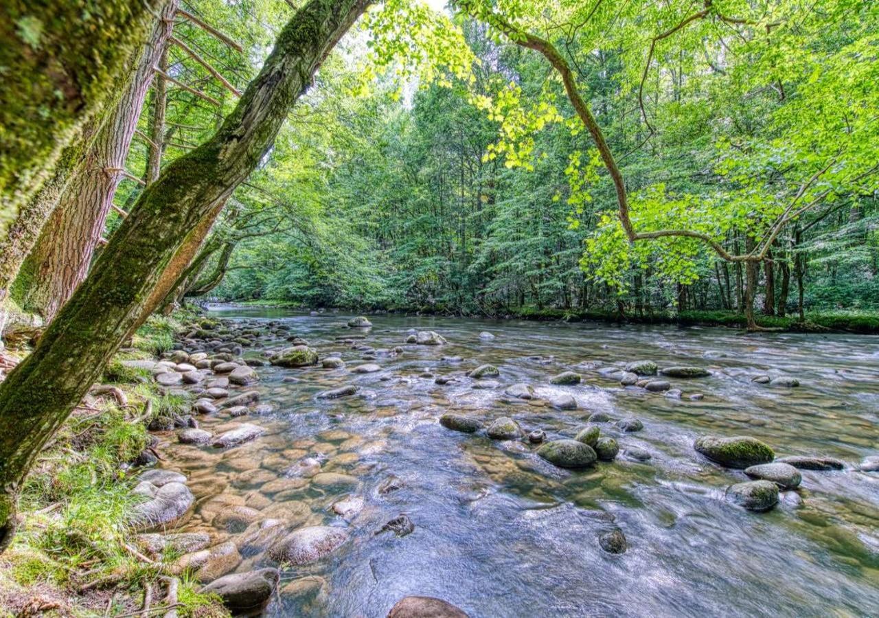 The Grand Orchard Lodge - Gatlinburg, Tn Εξωτερικό φωτογραφία